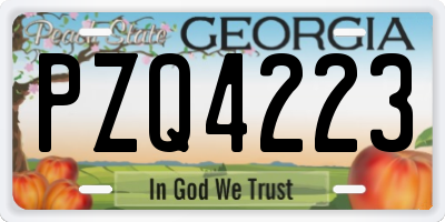 GA license plate PZQ4223
