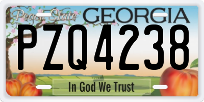 GA license plate PZQ4238