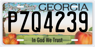 GA license plate PZQ4239