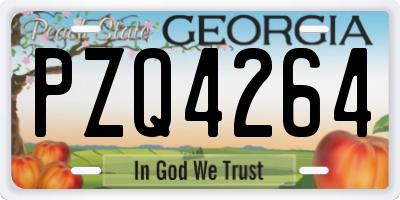 GA license plate PZQ4264