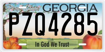 GA license plate PZQ4285