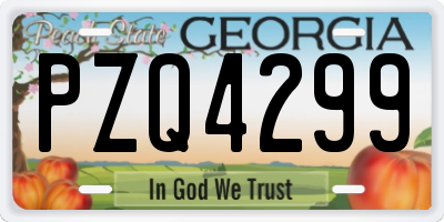 GA license plate PZQ4299