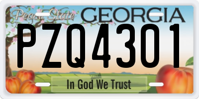 GA license plate PZQ4301