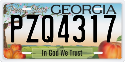 GA license plate PZQ4317
