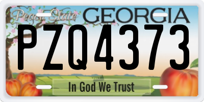 GA license plate PZQ4373