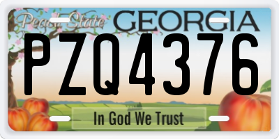 GA license plate PZQ4376