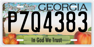 GA license plate PZQ4383