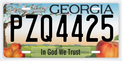 GA license plate PZQ4425