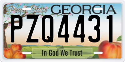 GA license plate PZQ4431