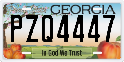 GA license plate PZQ4447