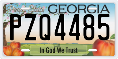 GA license plate PZQ4485