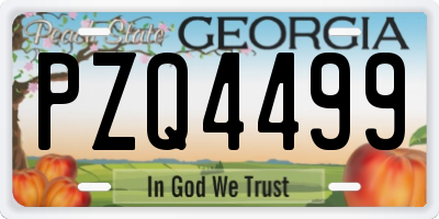 GA license plate PZQ4499
