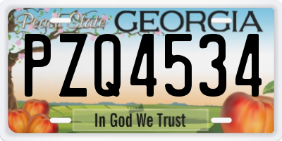 GA license plate PZQ4534