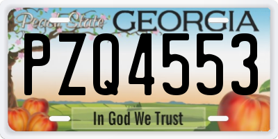 GA license plate PZQ4553