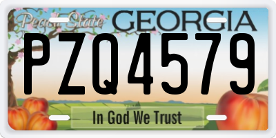 GA license plate PZQ4579