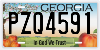 GA license plate PZQ4591