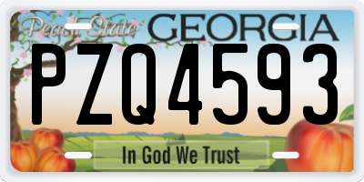 GA license plate PZQ4593