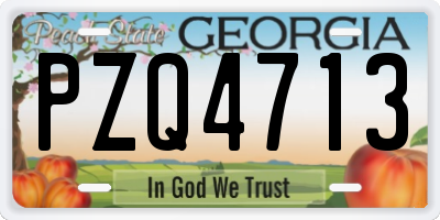 GA license plate PZQ4713