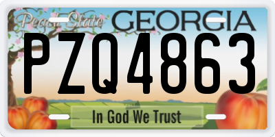 GA license plate PZQ4863
