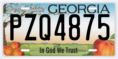 GA license plate PZQ4875