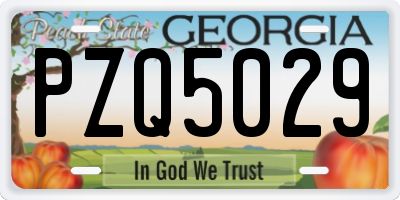 GA license plate PZQ5029