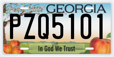 GA license plate PZQ5101