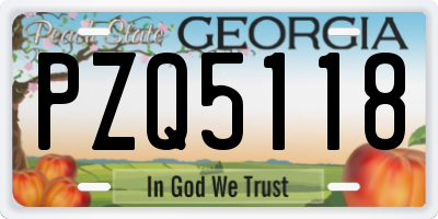 GA license plate PZQ5118