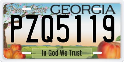 GA license plate PZQ5119