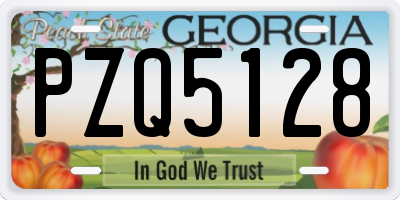GA license plate PZQ5128