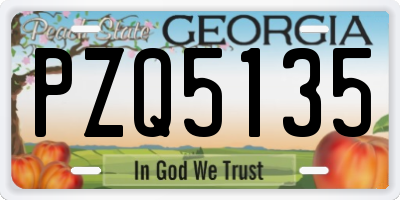 GA license plate PZQ5135