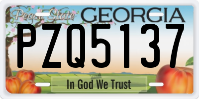 GA license plate PZQ5137