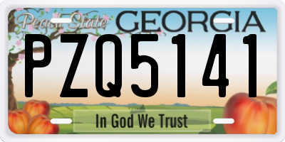 GA license plate PZQ5141