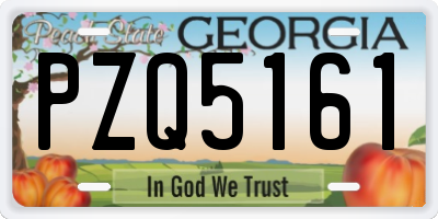 GA license plate PZQ5161