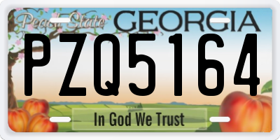 GA license plate PZQ5164