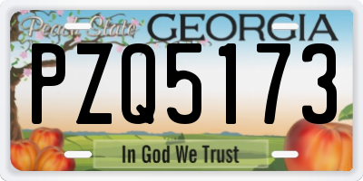 GA license plate PZQ5173