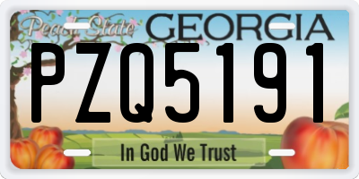 GA license plate PZQ5191