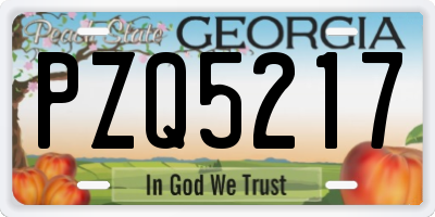 GA license plate PZQ5217
