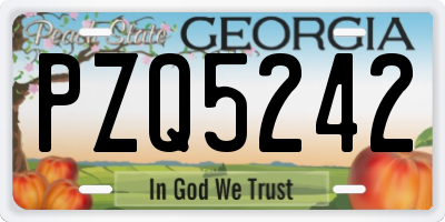 GA license plate PZQ5242