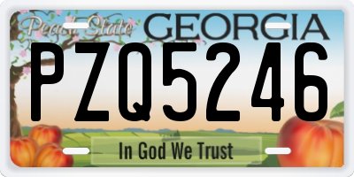 GA license plate PZQ5246