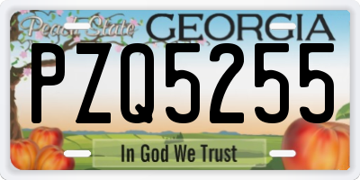 GA license plate PZQ5255
