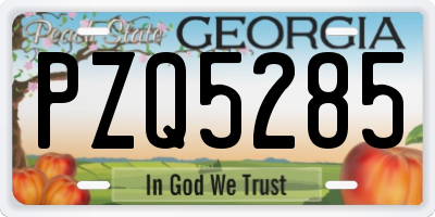 GA license plate PZQ5285