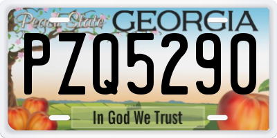 GA license plate PZQ5290