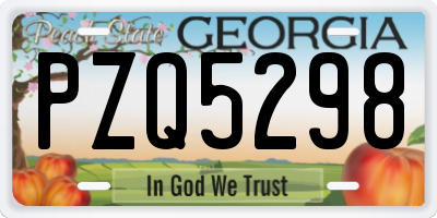 GA license plate PZQ5298