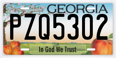 GA license plate PZQ5302