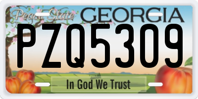 GA license plate PZQ5309