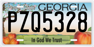 GA license plate PZQ5328