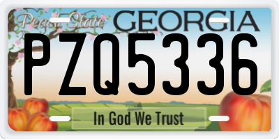 GA license plate PZQ5336
