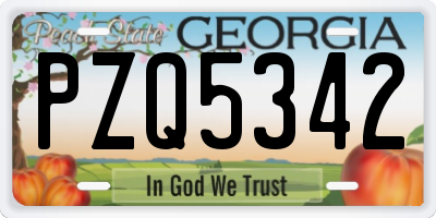GA license plate PZQ5342