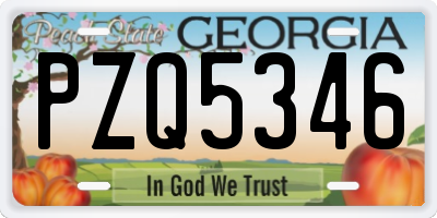 GA license plate PZQ5346