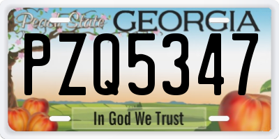 GA license plate PZQ5347